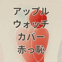 アップルウォッチのカバーの外し方で恥ずかしい思いをしないための手順解説画像