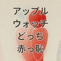 アップルウォッチどっちにつけるか恥ずかしいと悩む男性の手元