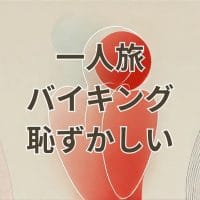 一人旅バイキング恥ずかしい場面を克服する食事の様子