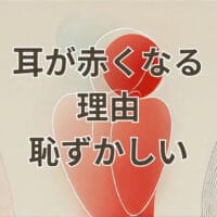 耳が赤くなる理由と恥ずかしい感情に関する説明イラスト