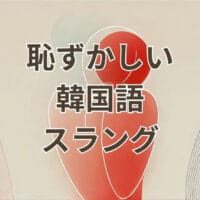 恥ずかしい韓国語スラング「쪽팔리다」と標準語の違いを解説する図解