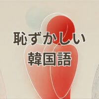 恥ずかしい韓国語の使い分けを説明する図解