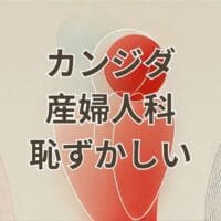 カンジダ 産婦人科 恥ずかしい 検査と治療を説明する女性のイメージ