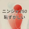 ニンジャ250が恥ずかしいと感じる理由と対策を解説する画像