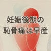 妊娠後期の恥骨痛と早産リスクを解説するイメージ