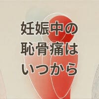 妊娠中 恥骨痛いつから始まるかを解説するイラスト