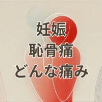 妊娠中の恥骨痛がどんな痛みかを説明するイラスト