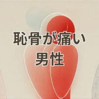 恥骨痛み 男性が抱える症状と原因のイメージ画像