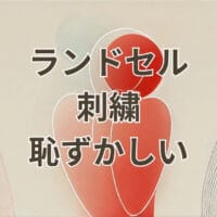 ランドセル 刺繍 恥ずかしい 小学生が高学年で後悔しない選び方