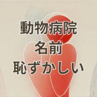 動物病院で名前が恥ずかしいときの対処法