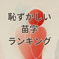 恥ずかしい苗字ランキングの解説画像