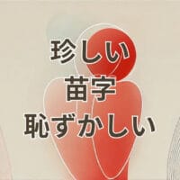 珍しい苗字が恥ずかしいと感じる人向けの解説画像
